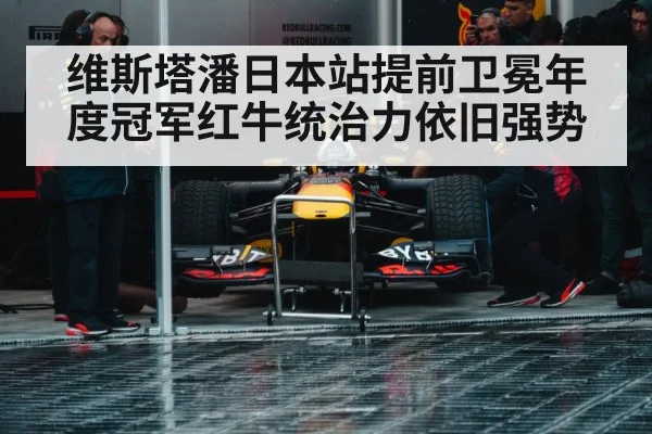 Red Bull Racing pit stop