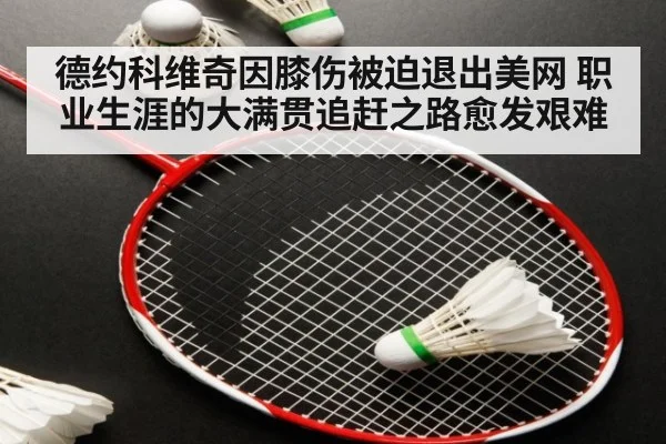 德约科维奇因膝伤被迫退出美网 职业生涯的大满贯追赶之路愈发艰难